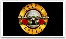 Spela gratis Guns n roses video slot